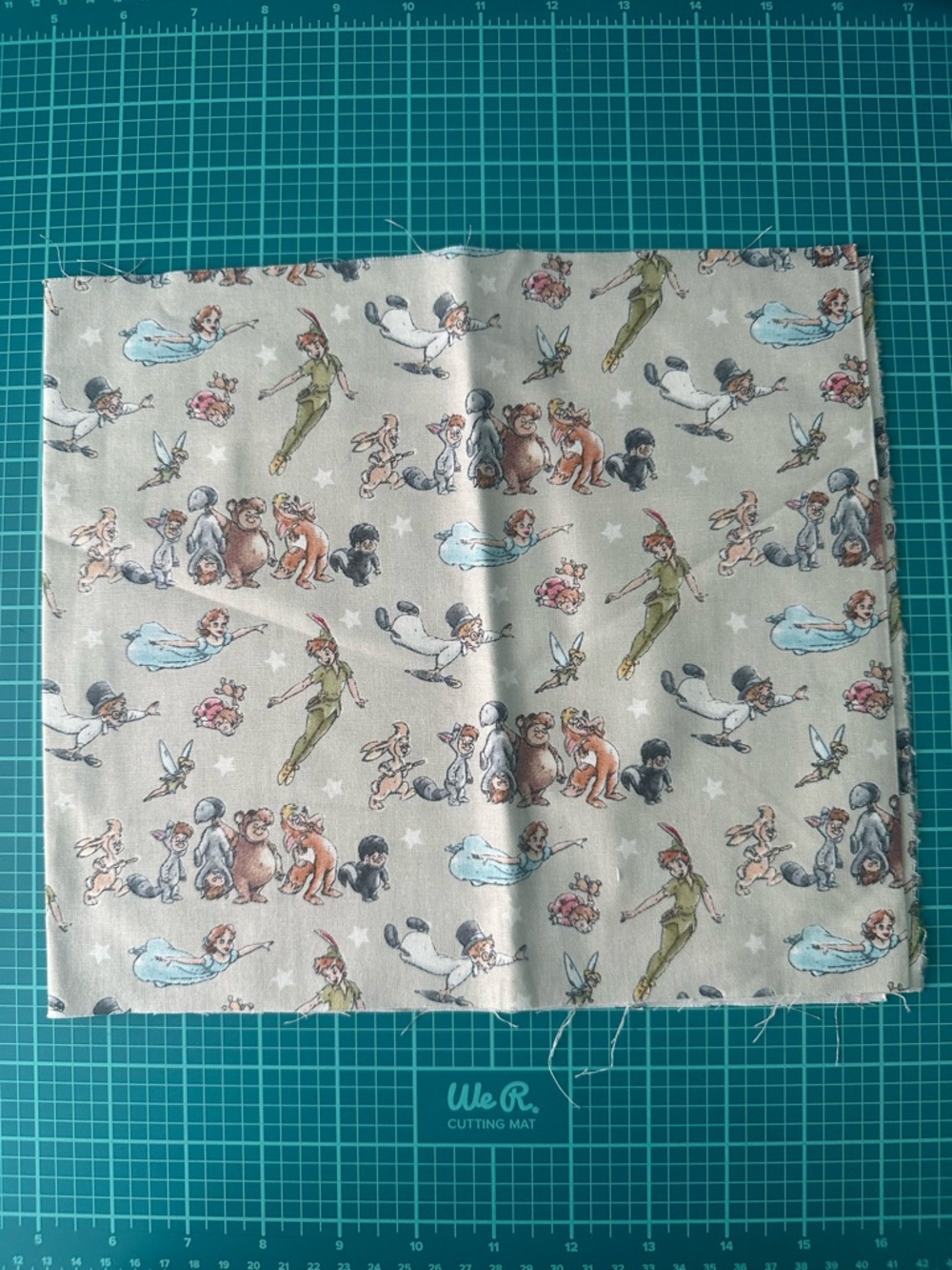 Disney Peter Pan Fabric